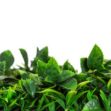 Garden Ornaments: Flowering Lilac Vertical Garden / Green Wall UV Resistant 100cm X 100cm Panel