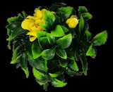 Artificial Hanging Plants: Flowering Yellow Rose Stem UV Resistant 30cm