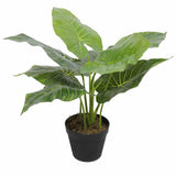 Artificial Trees: Artificial Potted Taro Plant / Elephant Ear 55cm