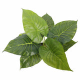 Artificial Trees: Artificial Potted Taro Plant / Elephant Ear 55cm