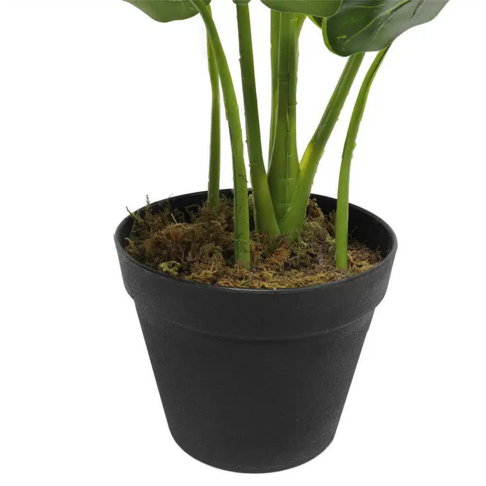 Artificial Trees: Artificial Potted Taro Plant / Elephant Ear 55cm