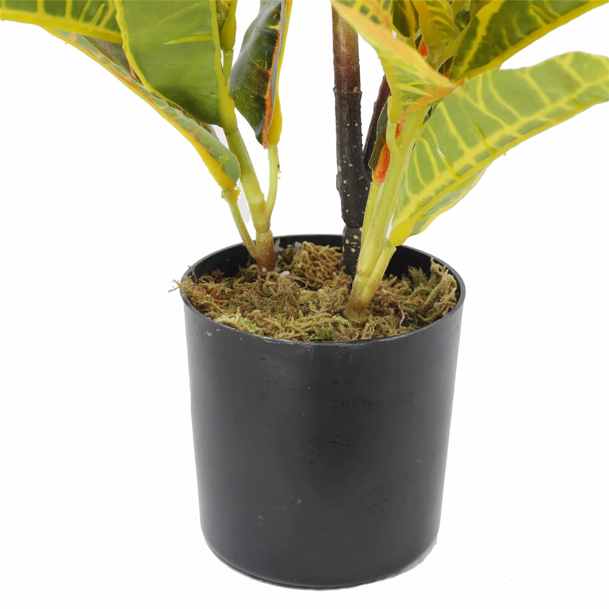 Household Insect Repellents: Artificial Potted Flaming Zebra (Codiaeum variegatum / crotons) 55cm