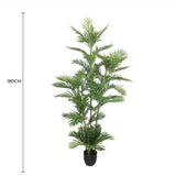 Canopies & Gazebos: Premium Artificial Potted Multi-trunk Fan Palm 180cm