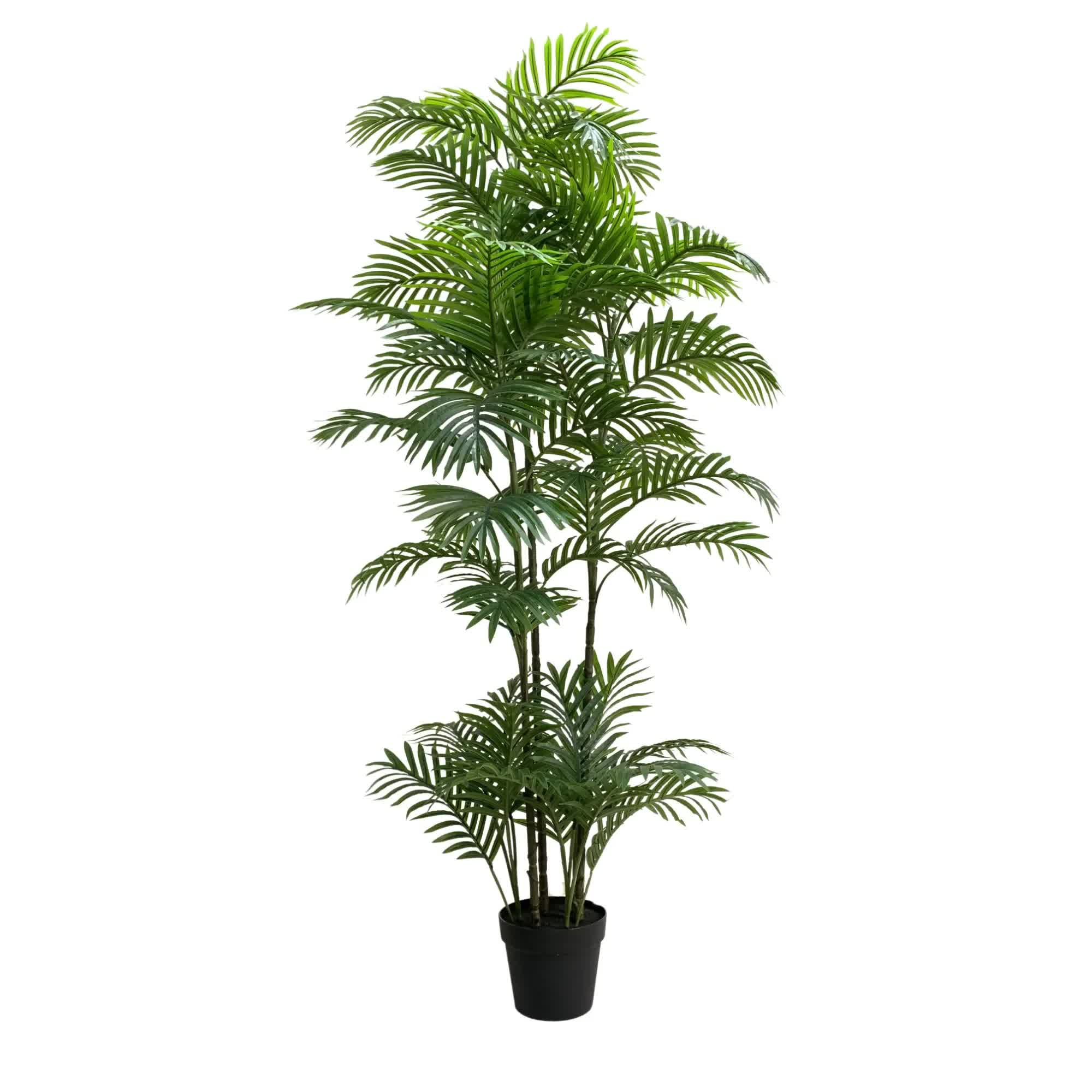 Canopies & Gazebos: Premium Artificial Potted Multi-trunk Fan Palm 180cm