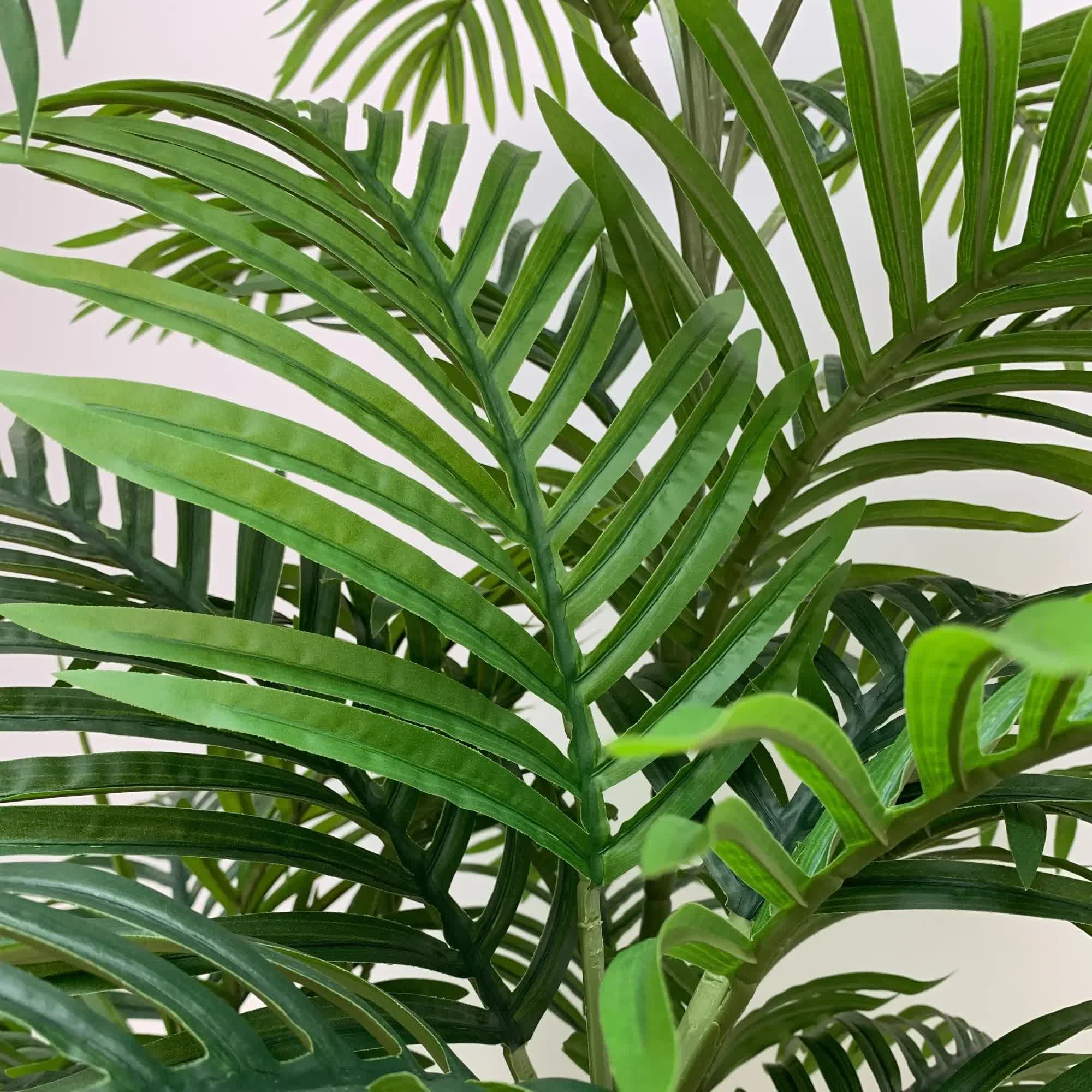 Canopies & Gazebos: Premium Artificial Potted Multi-trunk Fan Palm 180cm
