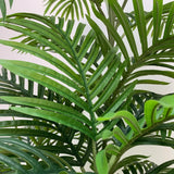 Canopies & Gazebos: Premium Artificial Potted Multi-trunk Fan Palm 180cm