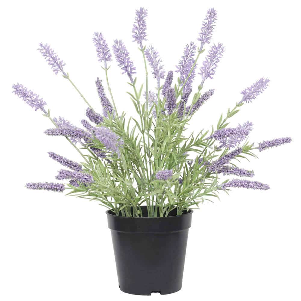 Aroma Diffusers: Artificial Lavender Plant 40cm