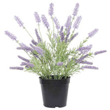 Aroma Diffusers: Artificial Lavender Plant 40cm
