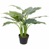 Artificial Trees: Artificial Potted Taro Plant / Elephant Ear 70cm