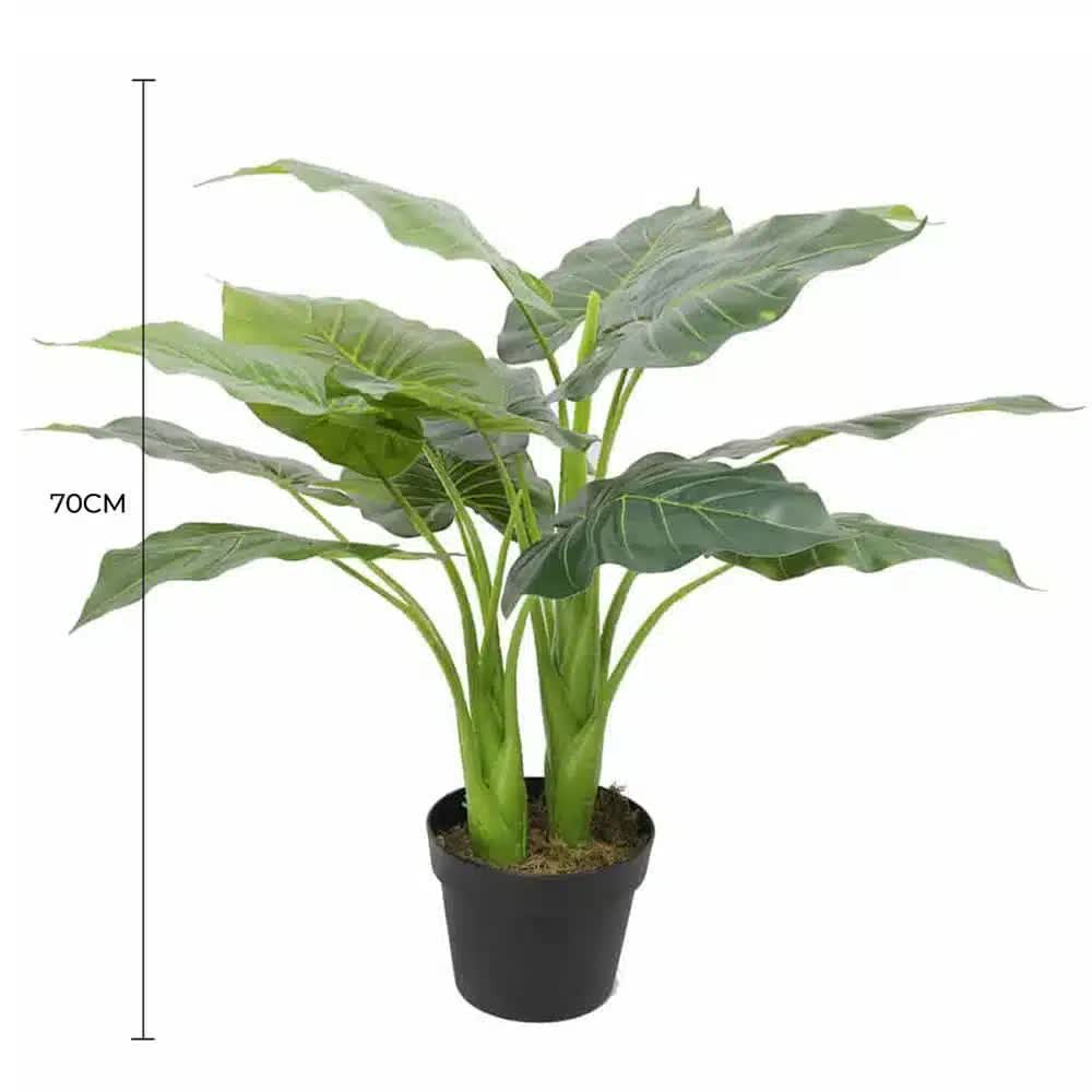 Artificial Trees: Artificial Potted Taro Plant / Elephant Ear 70cm
