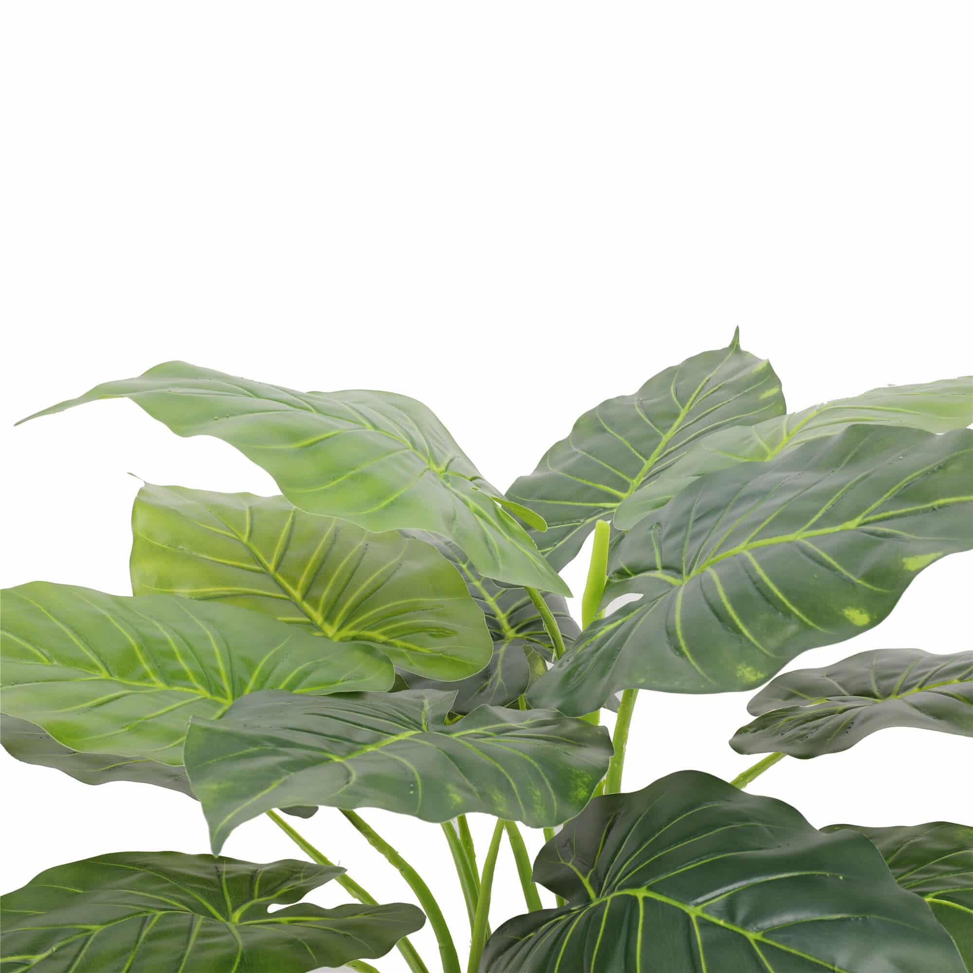 Artificial Trees: Artificial Potted Taro Plant / Elephant Ear 70cm