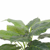 Artificial Trees: Artificial Potted Taro Plant / Elephant Ear 70cm