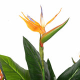 Bird Cages & Stands: Artificial Potted 150cm Bird of Paradise Plant