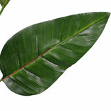 Bird Cages & Stands: Artificial Potted 150cm Bird of Paradise Plant