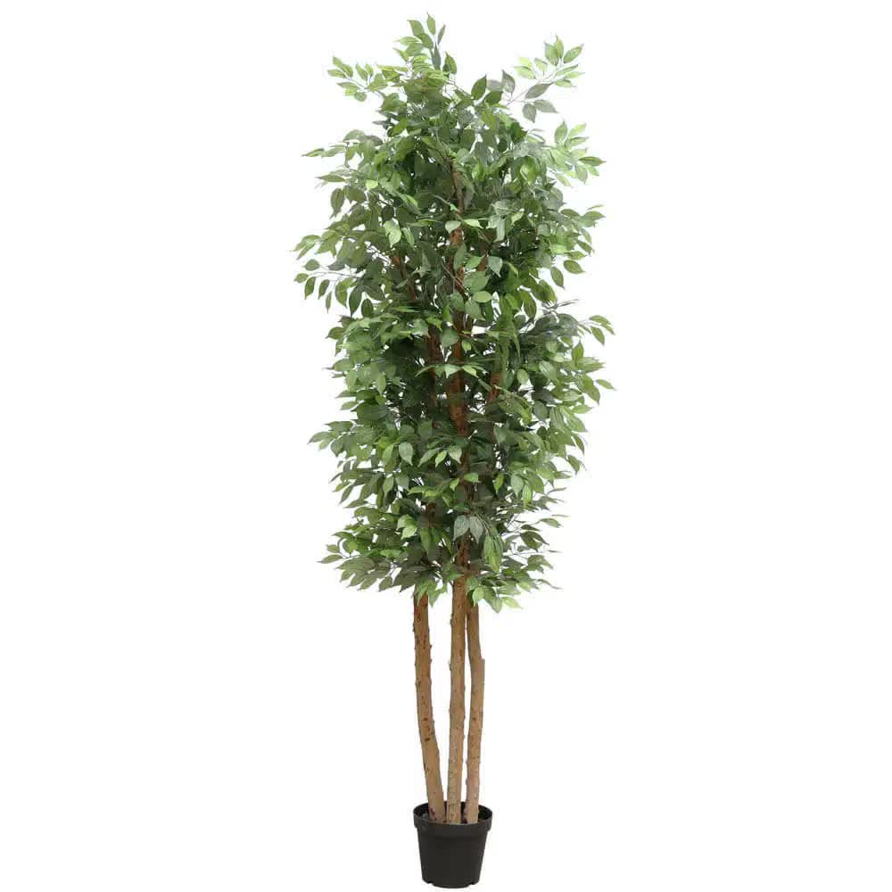 Kitchen & Bathroom DIY: Large Custom Made Ficus Tree 250cm