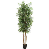 Kitchen & Bathroom DIY: Large Custom Made Ficus Tree 250cm