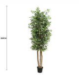 Kitchen & Bathroom DIY: Large Custom Made Ficus Tree 250cm