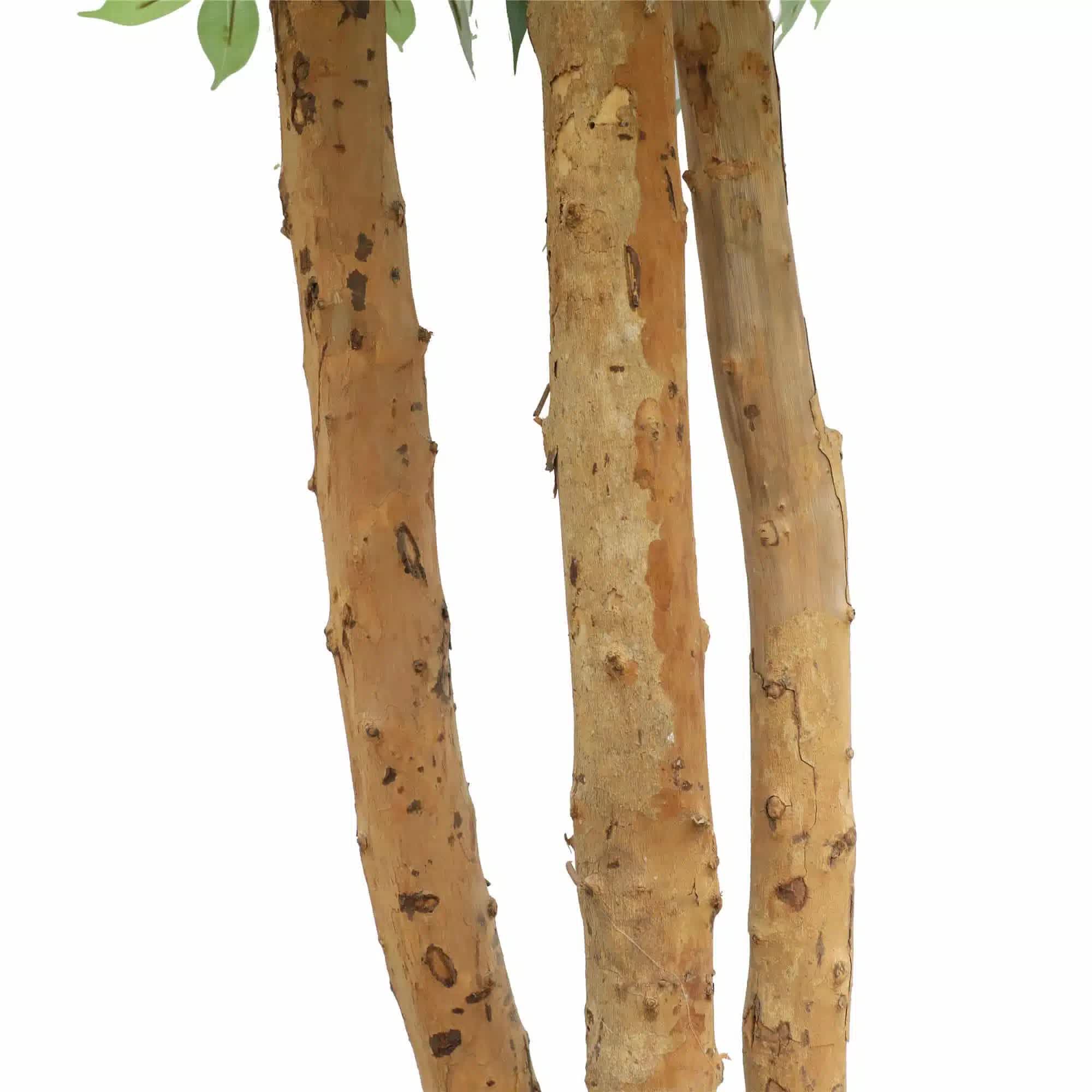 Kitchen & Bathroom DIY: Large Custom Made Ficus Tree 250cm