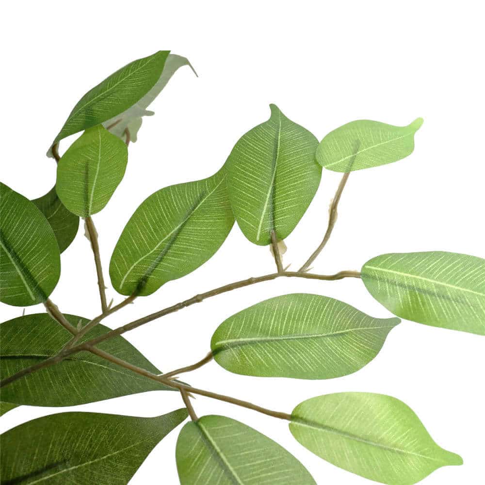Kitchen & Bathroom DIY: Large Custom Made Ficus Tree 250cm