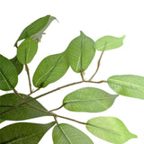 Kitchen & Bathroom DIY: Large Custom Made Ficus Tree 250cm