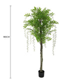 Wellness Accessories: Flowering Artificial Wisteria with White Flowers 180cm