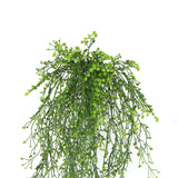 Artificial Hanging Plants: Artificial Hanging Plant (Natural Green) UV Resistant 90cm
