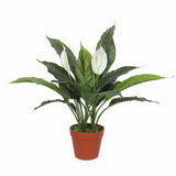 Wellness Accessories: Artificial Spathiphyllum Peace Lily Plant with White Flowers 60cm