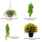 Grow Bags: Hanging Basket, Ferns, and Small Potted Plant Bundle