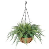 Grow Bags: Hanging Basket, Ferns, and Small Potted Plant Bundle