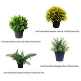 Gardening Tools: UV Treated 20cm Small Potted Plants Bundle