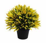 Gardening Tools: UV Treated 20cm Small Potted Plants Bundle