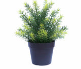 Gardening Tools: UV Treated 20cm Small Potted Plants Bundle