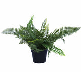 Gardening Tools: UV Treated 20cm Small Potted Plants Bundle