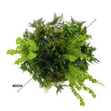 Artificial Hanging Plants: Imitation Gold Artificial Hanging Green Wall Disc 80cm (Limited Edition) UV Resistant Foliage