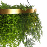 Artificial Hanging Plants: Imitation Gold Artificial Hanging Green Wall Disc 80cm (Limited Edition) UV Resistant Foliage