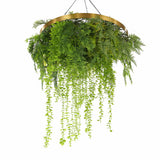 Artificial Hanging Plants: Imitation Gold Artificial Hanging Green Wall Disc 80cm (Limited Edition) UV Resistant Foliage