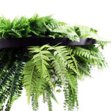 Audio Accessories: Black Artificial Hanging Green Wall Disc 80cm UV Resistant