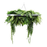 Artificial Hanging Plants: Silver Artificial Hanging Green Wall Disc 80cm UV Resistant Foliage