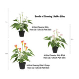 Blankets & Throws: Stunning Lifelike Lilies Bundle
