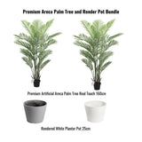Canopies & Gazebos: Premium Areca Palm Tree and Render Pot Bundle