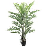 Canopies & Gazebos: Premium Areca Palm Tree and Render Pot Bundle