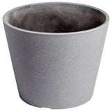 Canopies & Gazebos: Premium Areca Palm Tree and Render Pot Bundle