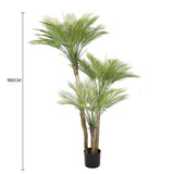 Artificial Trees: Artificial Parlour Palm Tree 180cm Multi Trunk UV Resistant