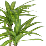 Artificial Wall Plants: Artificial Multi Head Dracaena Tree with Mixed Green Leaves (Real Touch) 130cm