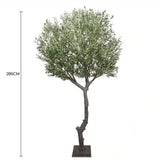 Aprons: Nearly Natural Extra Large Olive Tree with Olives 285cm