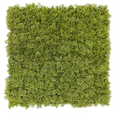 Caravan Accessories: Nearly Natural Moss Panel UV Resistant 100cm x 100cm (Back Order Only)