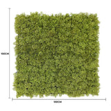 Caravan Accessories: Nearly Natural Moss Panel UV Resistant 100cm x 100cm (Back Order Only)