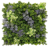 Caravan Accessories: Vivid Purple and Green Moss Panel UV Resistant 100cm x 100cm (Back Order Only)