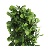 Caravan Accessories: Artificial Creeping Fig Garland Bush UV Resistant and Fire Rated 18cm x 76cm