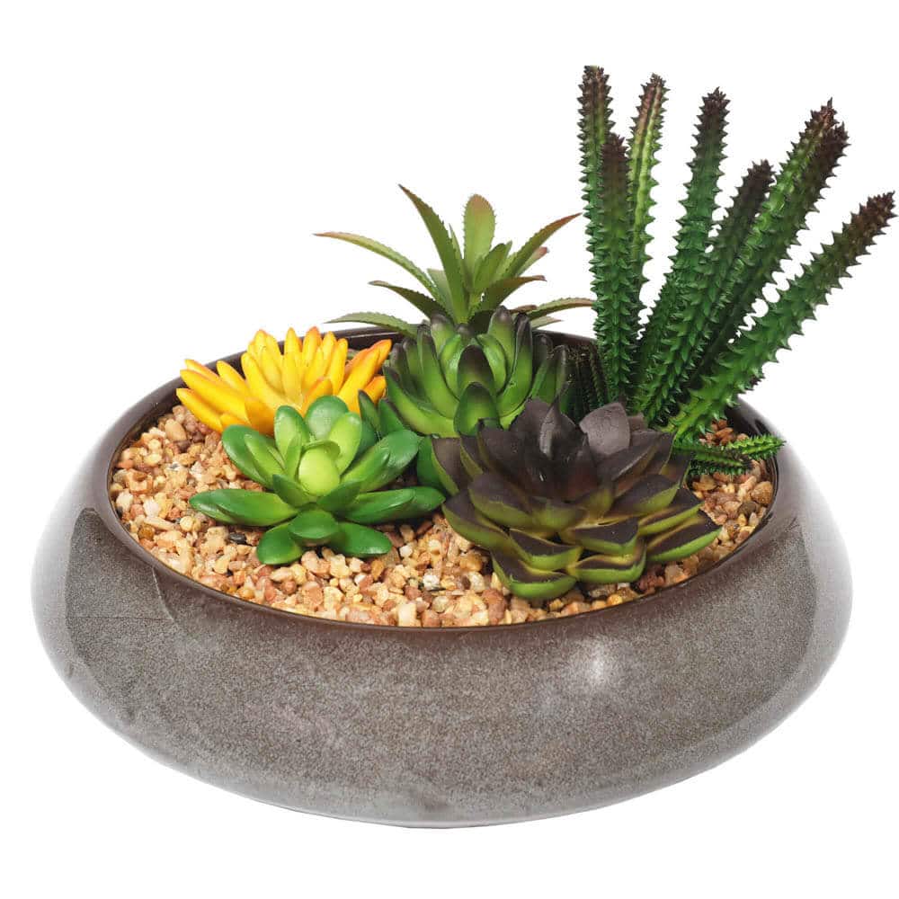 Artificial Potted Plants: Potted Artificial Succulents with Round Decorative Bowl 19cm